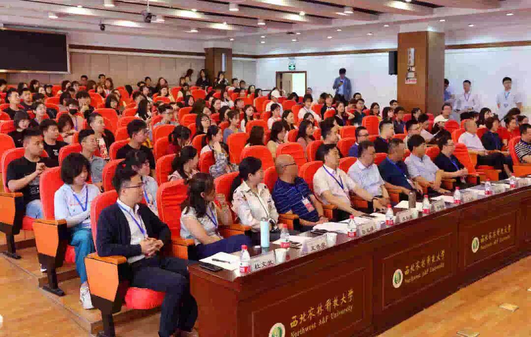 惊艳！亚投娱乐园林杯赛诞生一批“脑洞”设计师