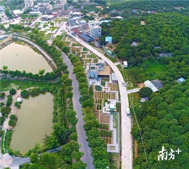 亚投娱乐股份